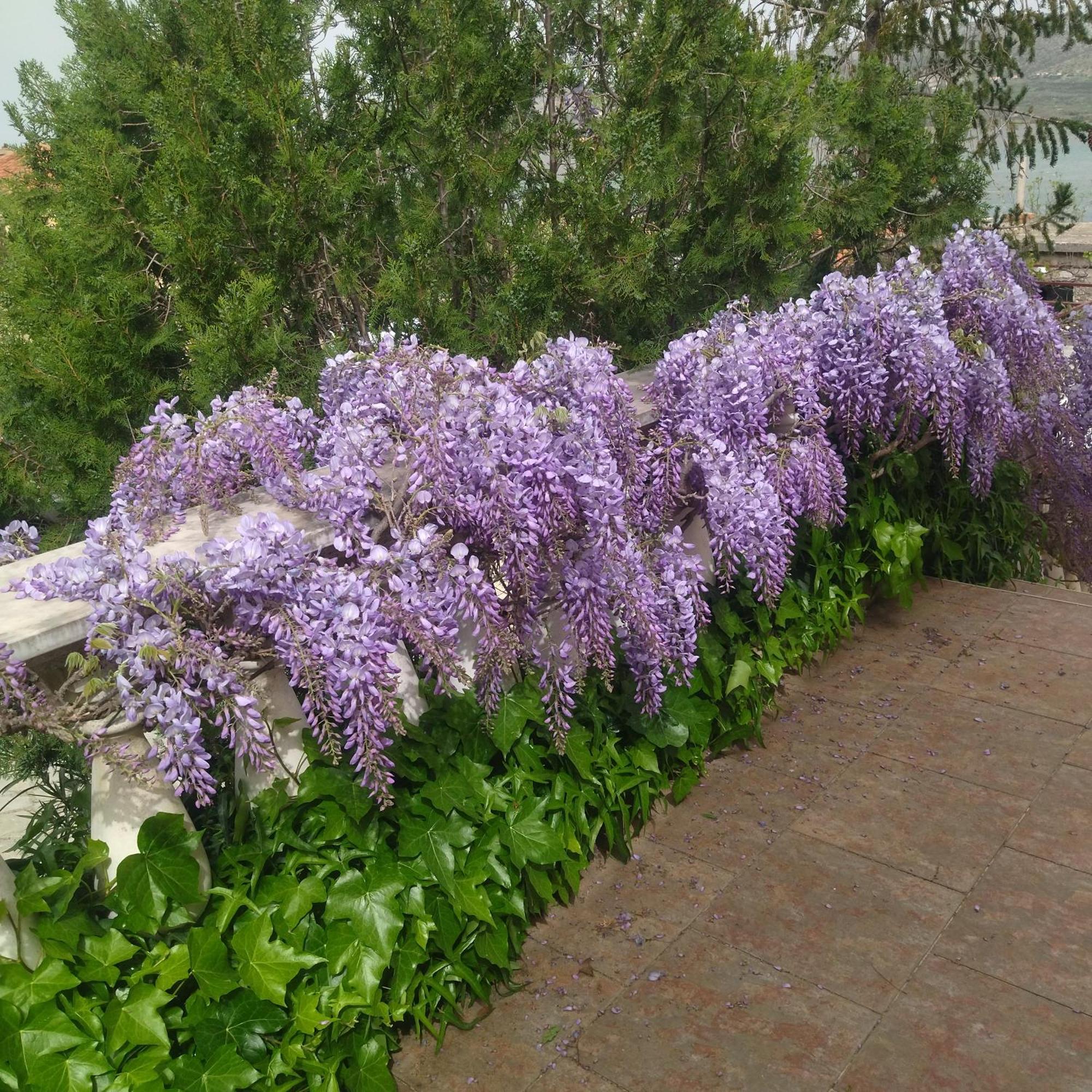Apartment Tuja Jadrtovac ภายนอก รูปภาพ